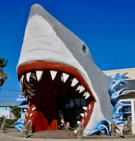 Giant Shark Entrance