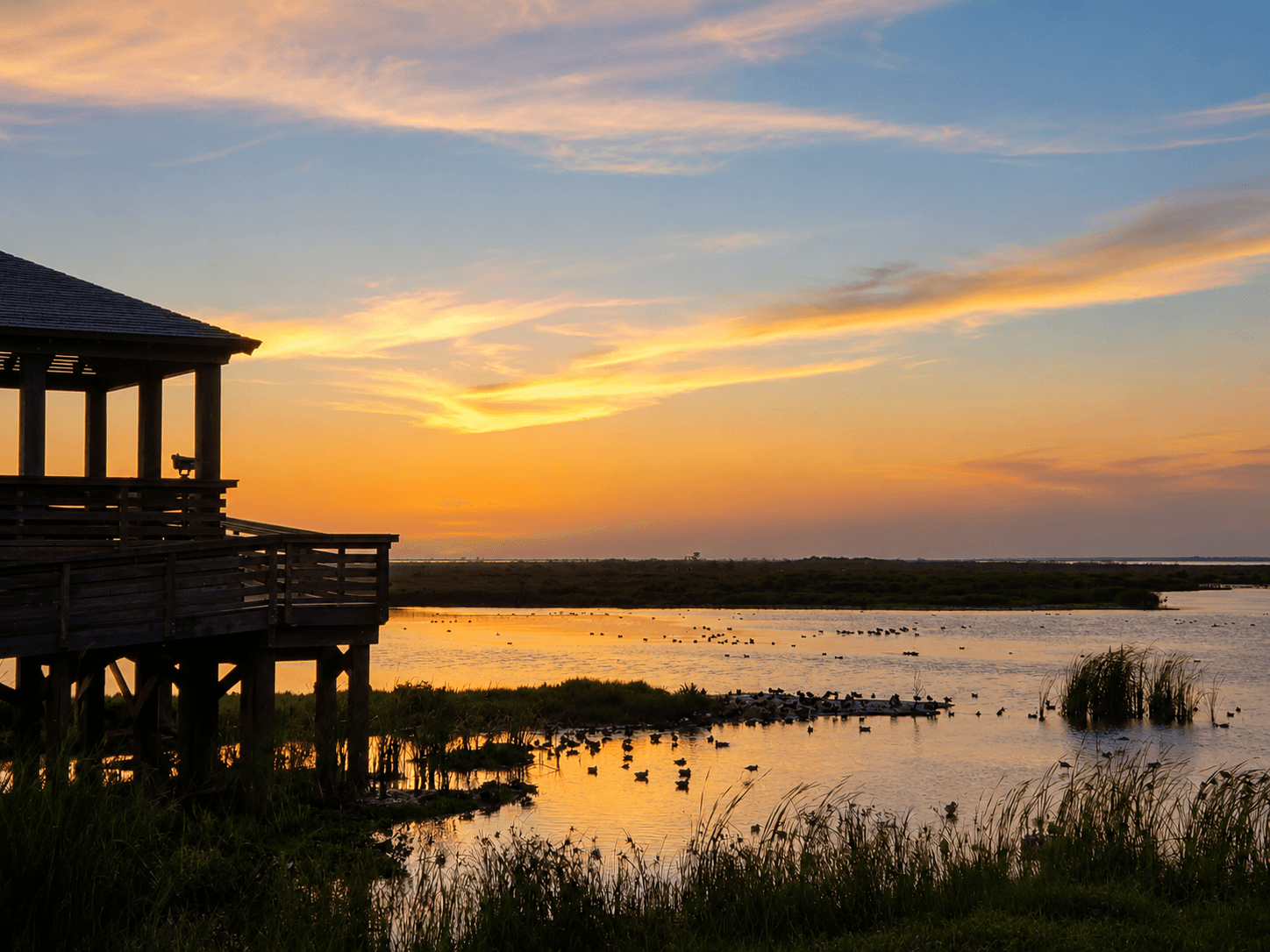 Port Aransas Nature Preserve